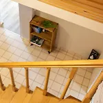Fox House 扎科帕内